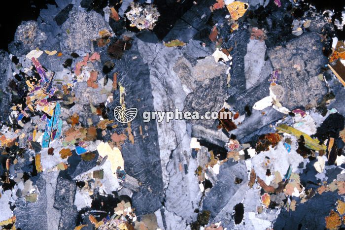 Granite des crêtes (Vosges) LPA x2 - gryphea.com